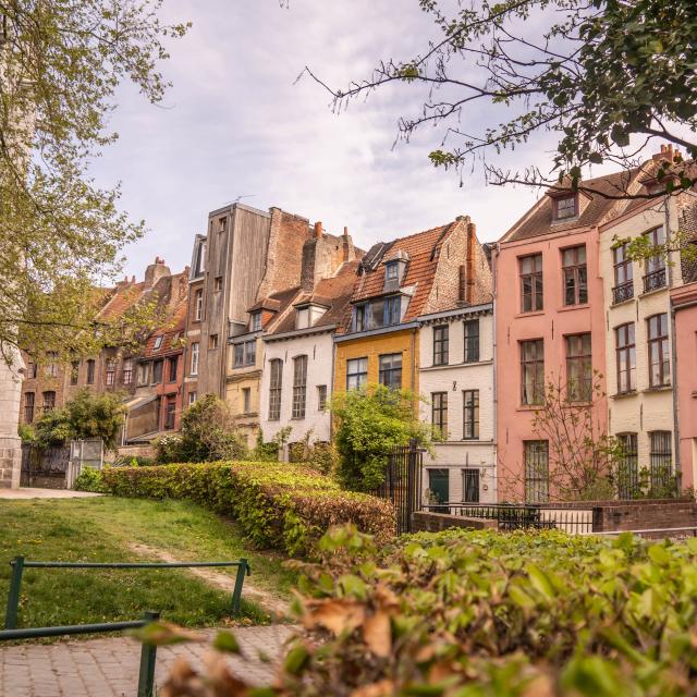 Maisons colorées derrière la Treille, place Gilleson
