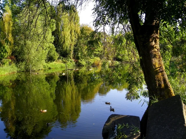 Nature Sauvage Armentierois Credit O2 Secotine