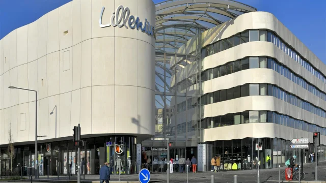 20210108 Vl Lillenium54 Groot