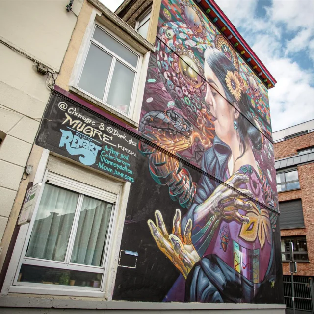 20230425 Sa Streetartlille 017 Large