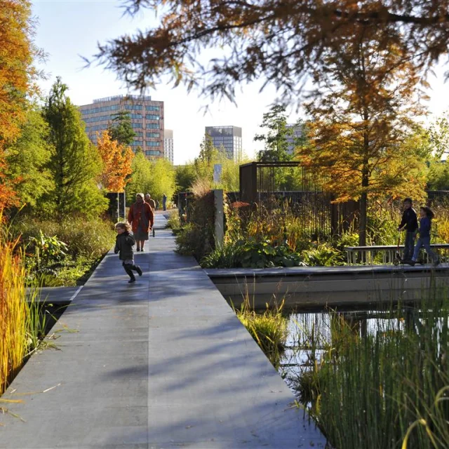 20101025 Ml 0006 Garden Giant Medium