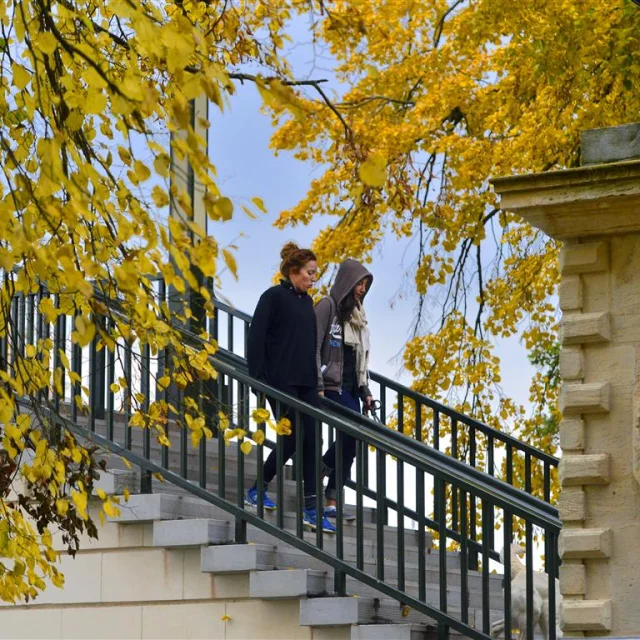 20161021 Vl Esplanade Lille48 Medium