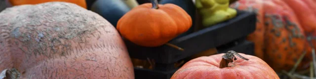 20181105 At Mosaic Seasonal Closure 036 Medium