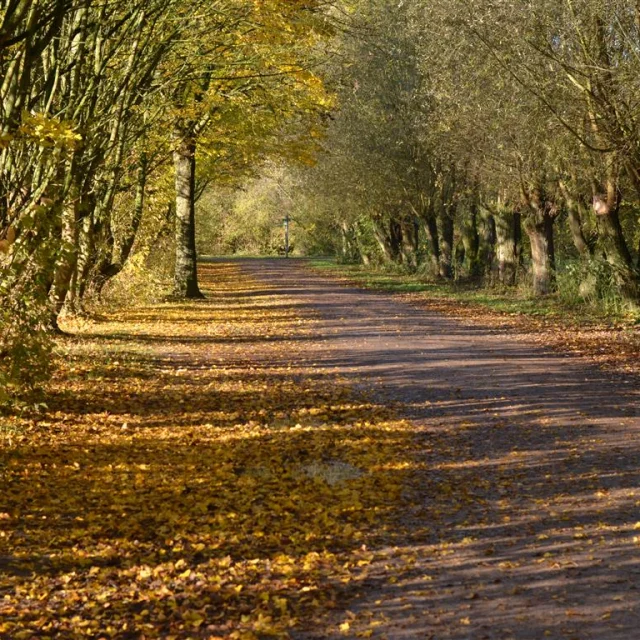 20191119 Pathway Villeneuve D Ascq 01 Medium