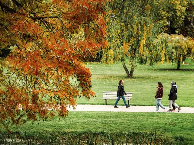 20251015 Sa Automneparcbarbieux 003 Large