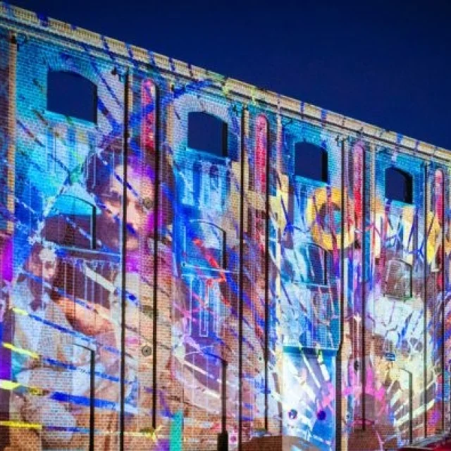 Nuits Des Arts Lumineux Muse Piscine